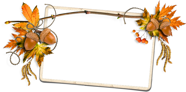 Cheyokota Digital Scraps - Digital Scrapbooking (800x407)