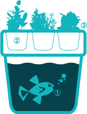 Garden Ideas - Jpeg (336x424)