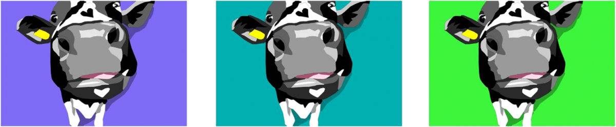 Www - Digitalpetart - Co - Uk - .uk (1200x249)