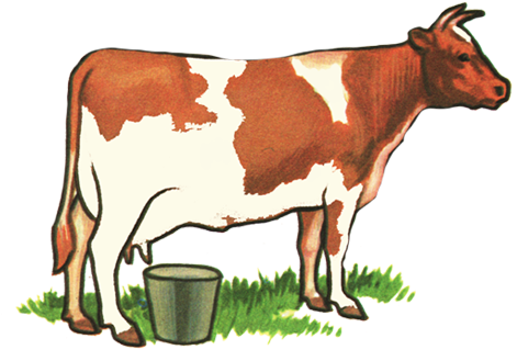 The Hueys Argument Predictor - Dairy Cow (554x534)
