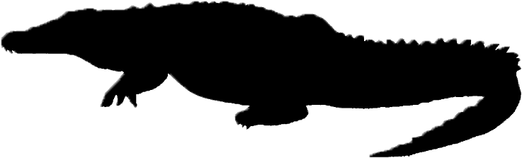 Clipart Info - Silhouette Of A Crocodile (748x400)
