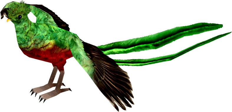 Resplendent Quetzal - Quetzal .png (786x786)