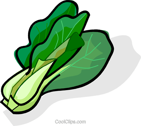 Lettuce Clipart Sawi - Green Vegetables Clipart (480x428)
