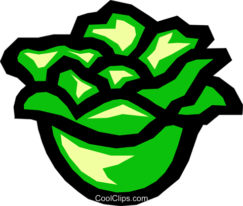 Lettuce Royalty Free Vector Clip Art Illustration - Lettuce (480x407)