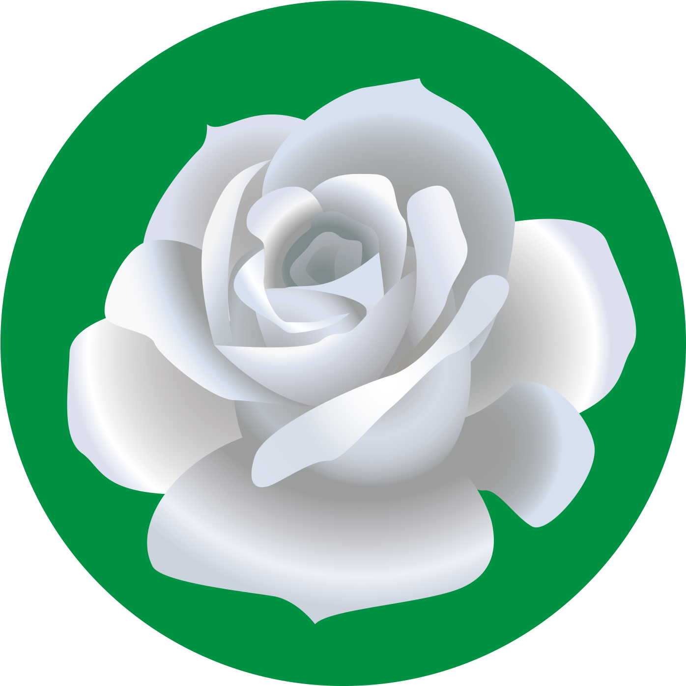 Garden Roses Beach Rose Drawing Flower - Portrait Of A Man (1504x1600)