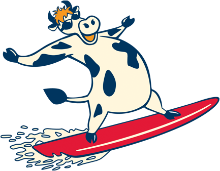 Big Boy Bbq 764 Glenhuntly Road, Caulfield South - Cow On A Surfboard (433x338)