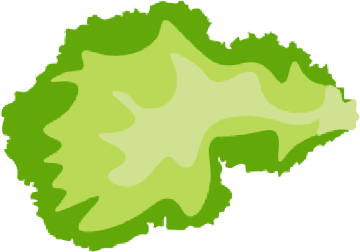 A Picture Of Lettuce - Graphic Design (733x476)