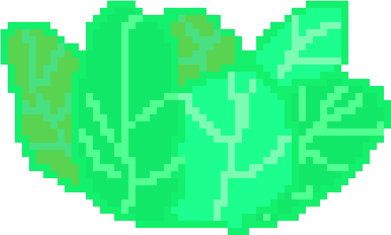 A Bunch Of Lettuce - Illustration (570x350)