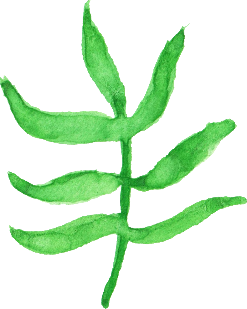 12 Watercolor Leaf Vol - Illustration (789x987)
