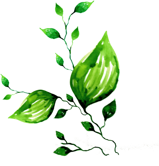 Download Png - 素材 (591x591)