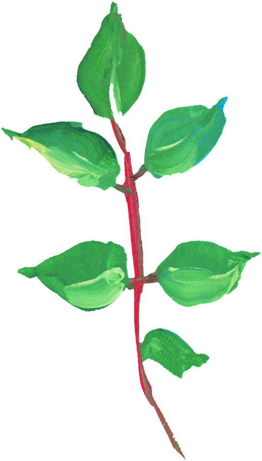 Hand Painted Leaves Png Transparent Material - Portable Network Graphics (650x1040)