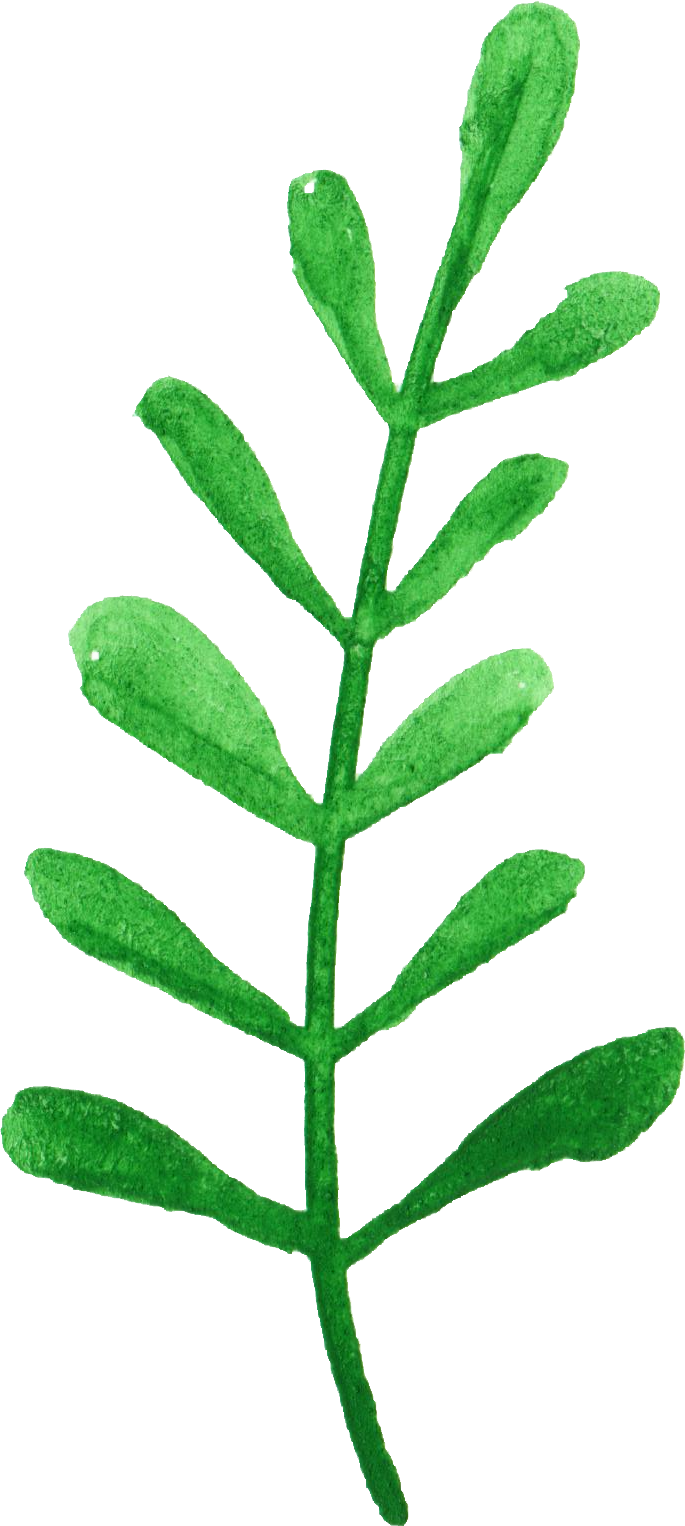 Free Download - Watercolor Painting (685x1526)