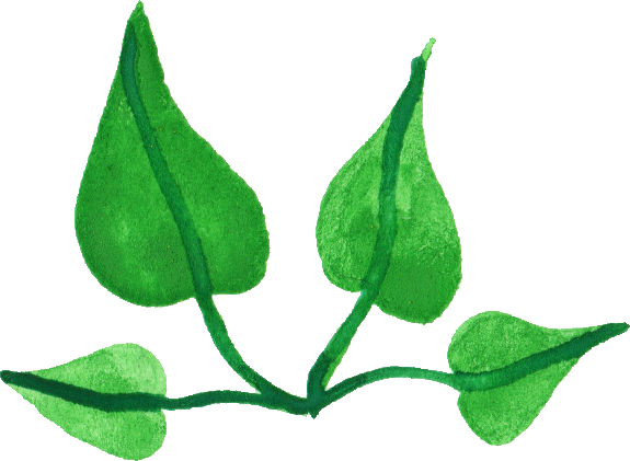 Free Download - Sketch (575x421)