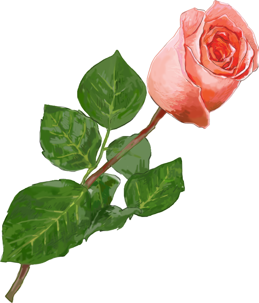 "love Yourself And All You Do" - Garden Roses (845x987)