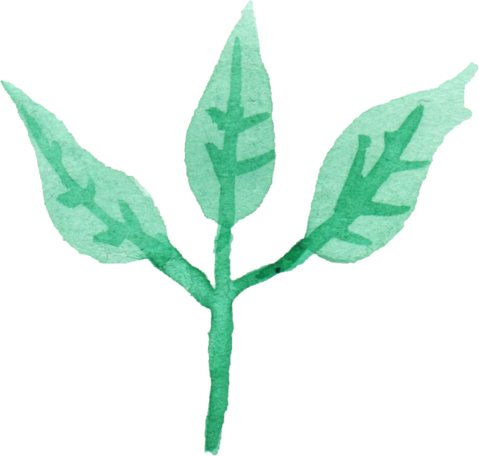 25 Watercolor Leaf Png Transparent - Illustration (681x648)