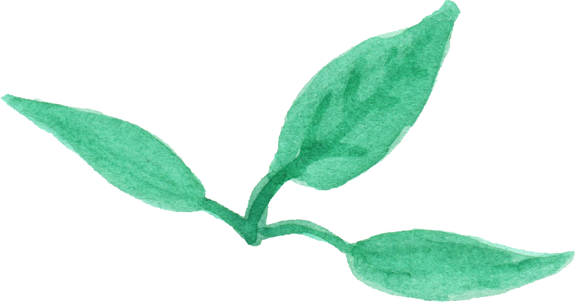 12 Watercolor Leaf Png Transparent Vol 2 Onlygfxcom - Honeysuckle (1180x623)