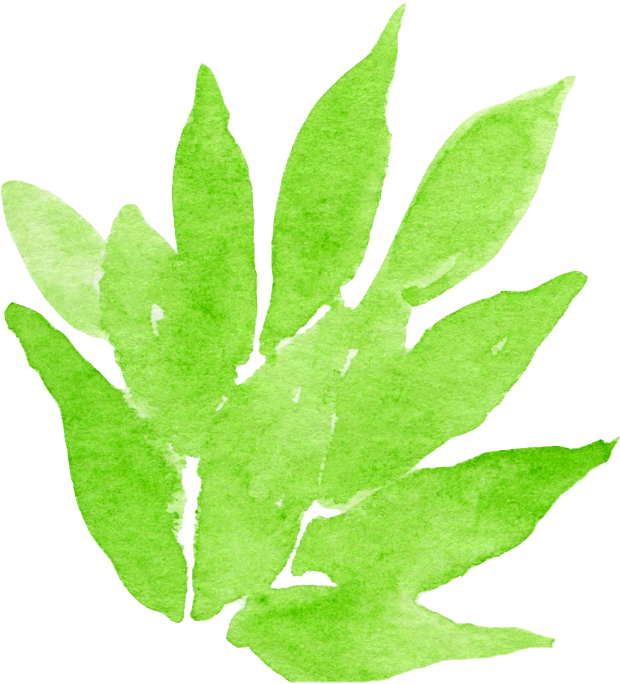 Flowers Watercolour Flowers Watercolor Painting Leaf - Watercolor Painting (696x763)