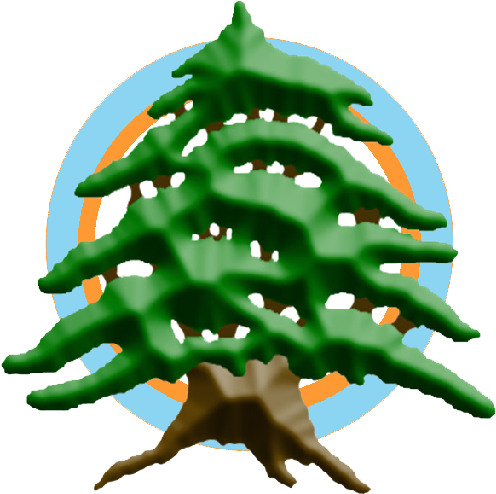 Dfsghj - Christmas Tree (531x512)