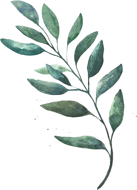 Watercolor Painting Leaf Drawing - Watercolor Leaf Drawing Png (600x898)
