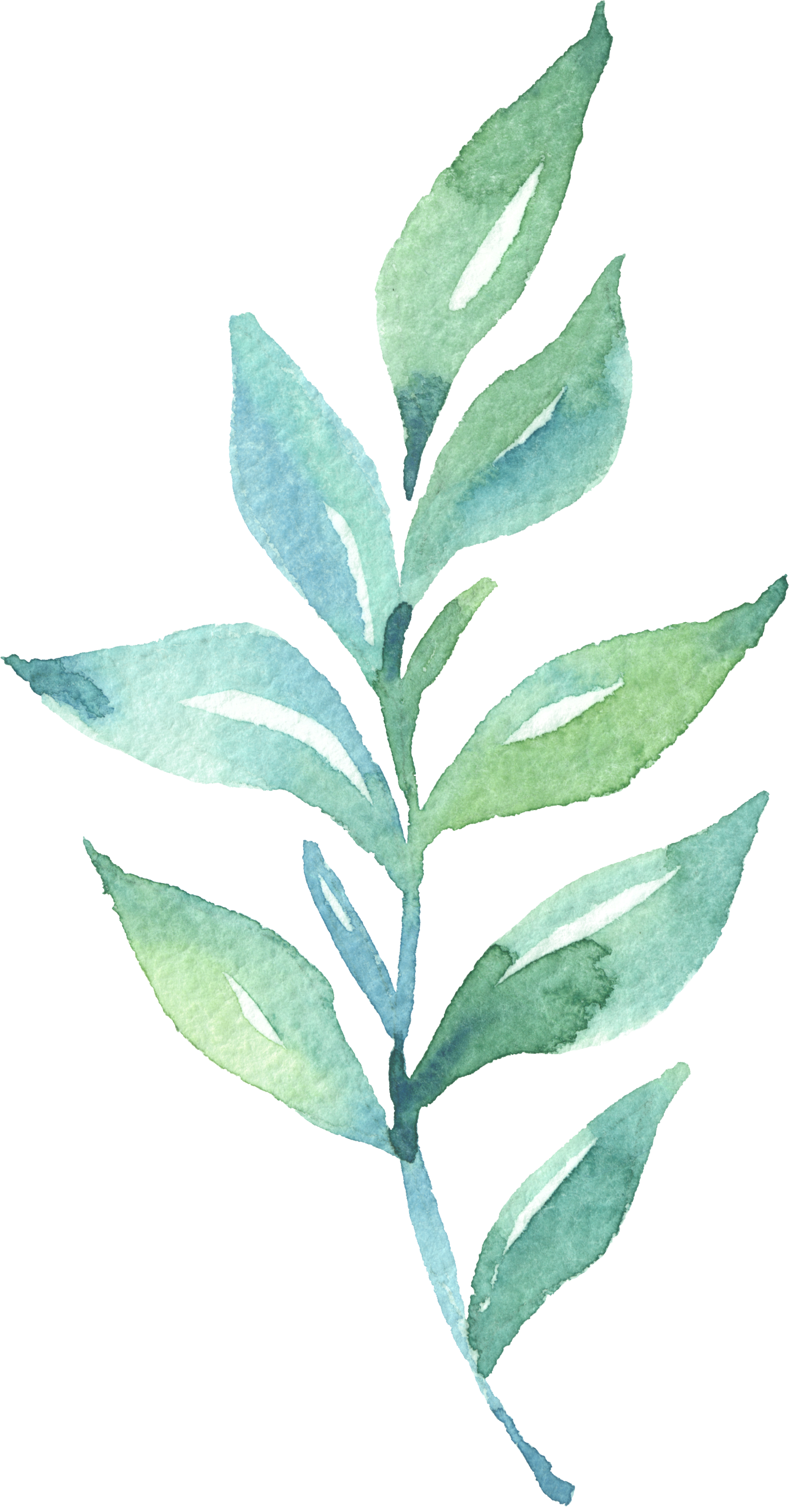 Leaf Watercolor Painting - Leaf Watercolor Painting (1626x3118)