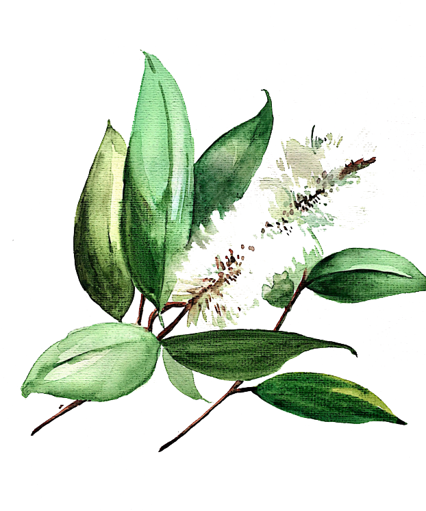 Watercolor Painting Icon - Watercolor Painting (622x746)