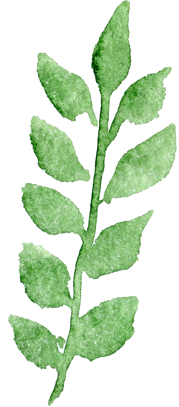 Transparent Watercolor Watercolor Painting Transparency - Watercolor Leaves Transparent Background (606x1376)