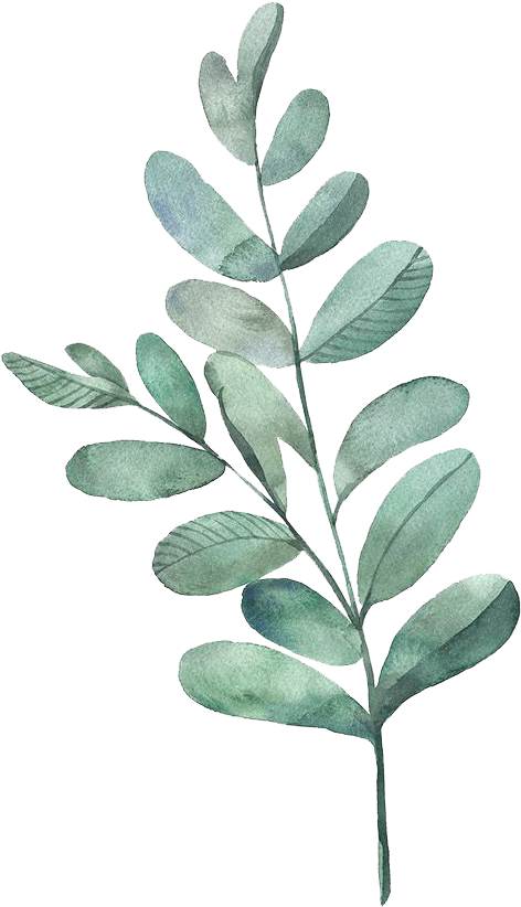 Watercolor Painting Leaf Illustration - Watercolor Leaves Leaves Png (600x914)