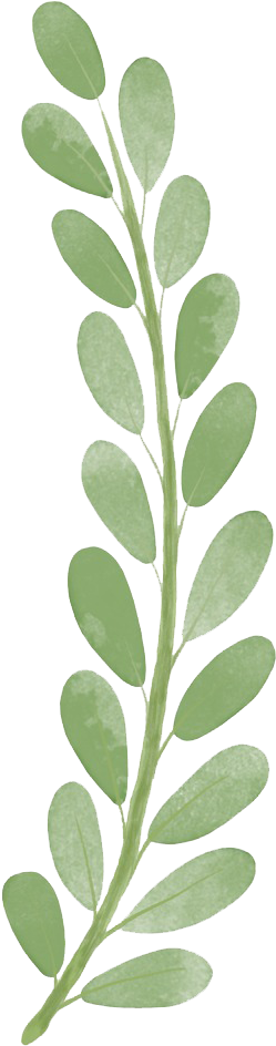 Download Png - Painted Leaf Png (630x1096)