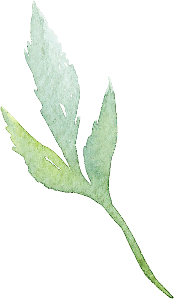 Flowers Watercolour Flowers Watercolor Painting - Watercolor Painting (554x951)