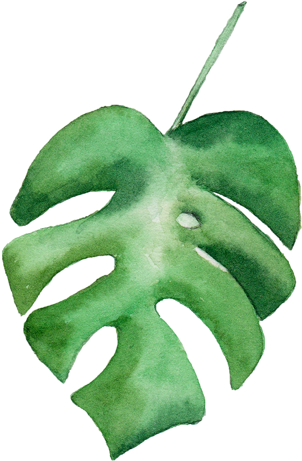 Leaf Watercolor Painting - Green Watercolor Leaf Png (592x902)