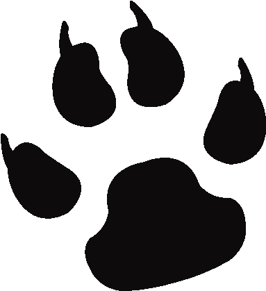 Labrador Retriever Cat Paw Tiger Clip Art - Lion Paw Print (800x600)