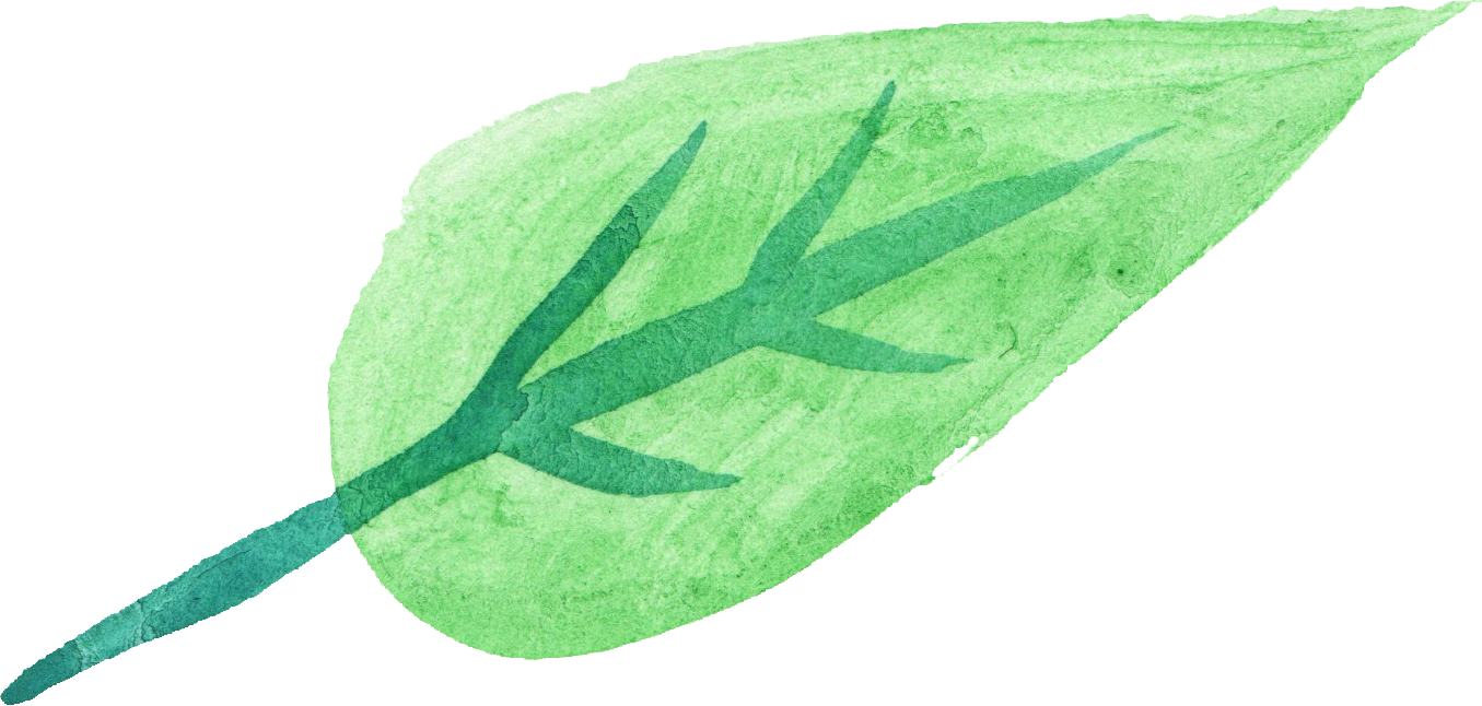 Free Download - Watercolor Green Transparent (1355x646)