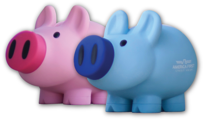 The Gateway To All America First Offers - Domestic Pig (650x400)