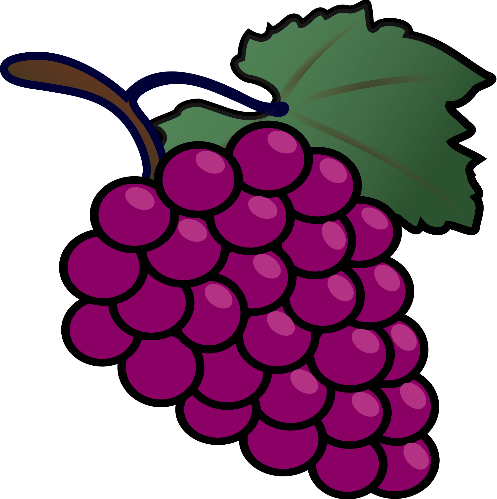 Tux Paint Grapes - Bunch Of Grapes Clipart (2000x2010)