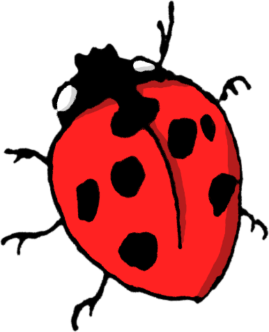 Animals/ Insects/ Cartoon/ Ladybug-2 - Animals Insect Cartoon Png (386x476)