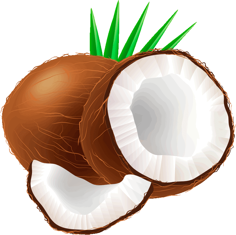 Christmas Candle Clipart - Coconut Clipart (1280x800)
