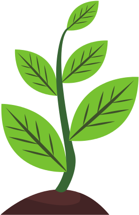 Plant Sapling Growing Illustration - Illustration (550x550)