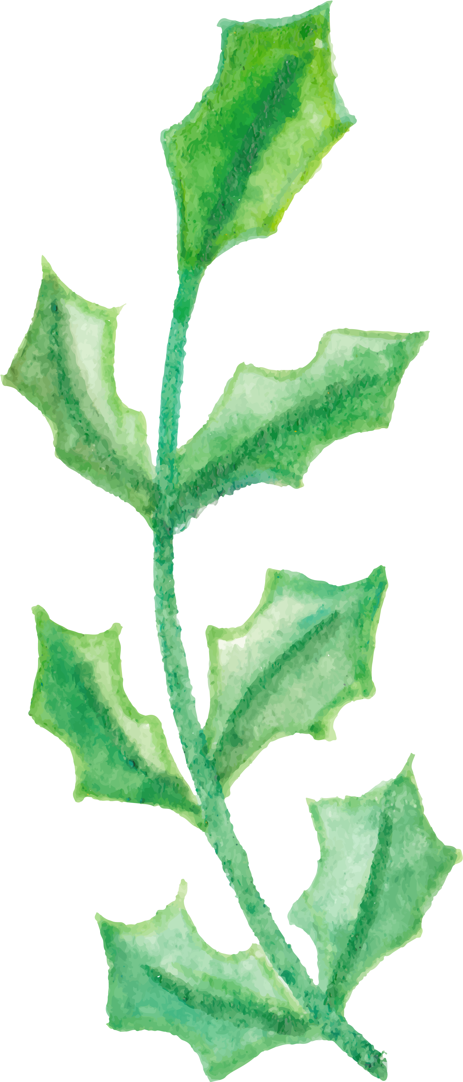 Flower Watercolor Painting Illustration - Watercolor Painting (4167x4167)