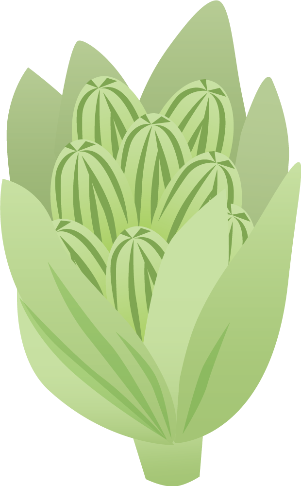 Fuki Vegetable Olericulture Sansai Illustration - Illustration (620x1000)