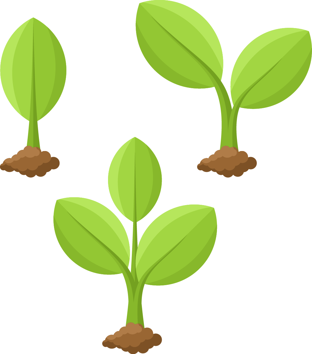 Plant Cartoon Illustration - Plant Growing Cartoon (1034x1172)