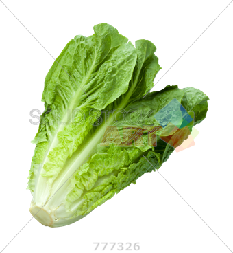 Stock Photo Of Romaine Lettuce Isolated On Transparent - Parris Island Cos Lettuce (340x368)