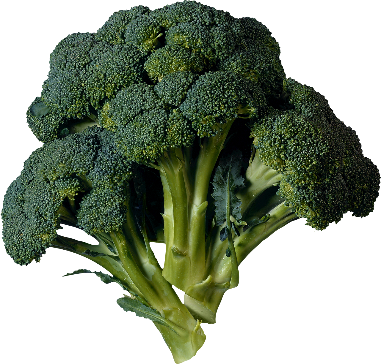 Transparency Broccoli Png Image - Broccoli Transparent (1281x1226)