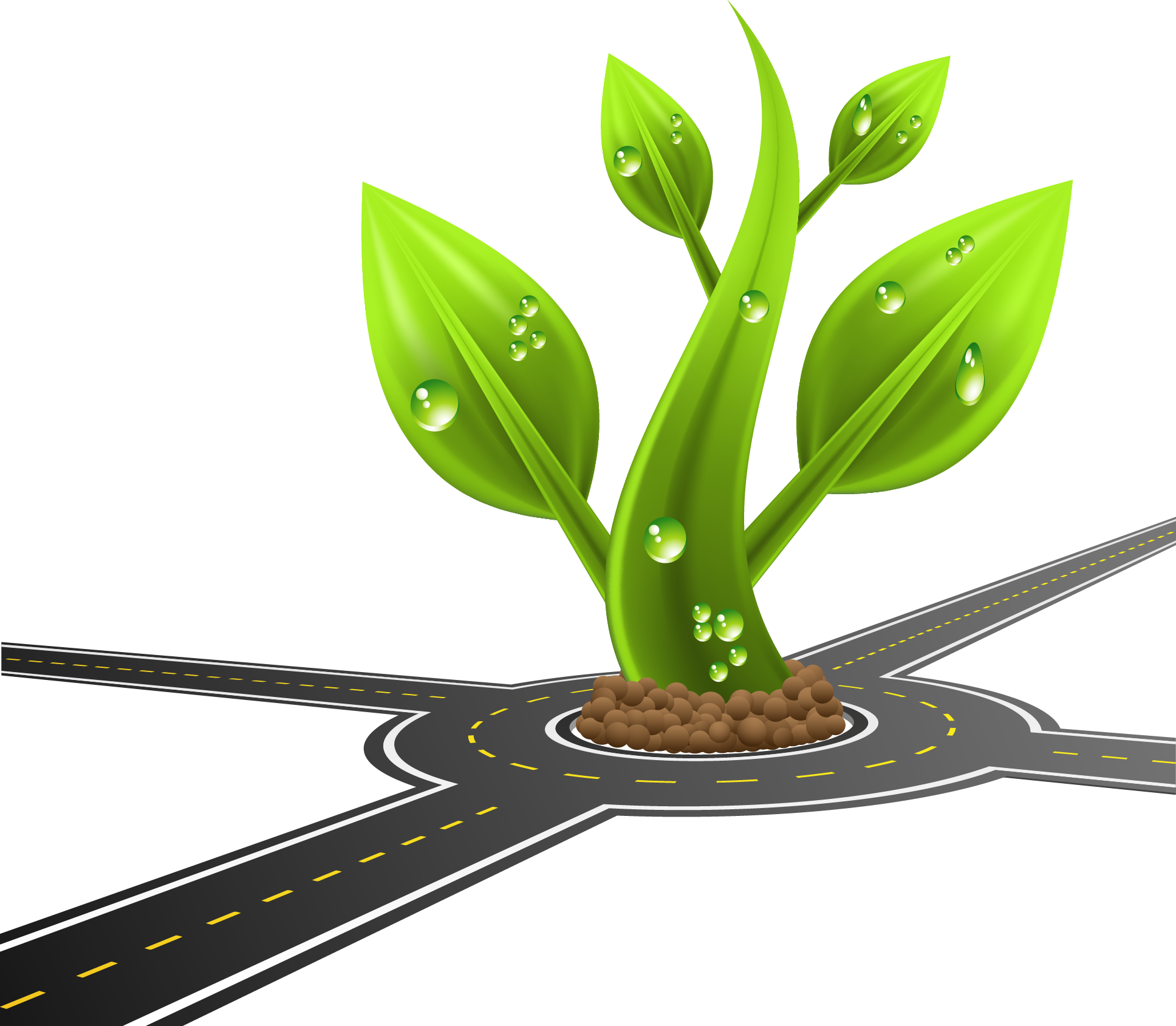 Photography Drawing Illustration - Flower 3d Png Cartoon (1936x1690)