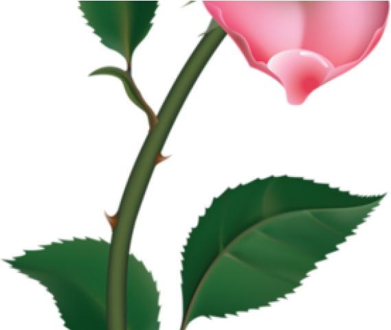 Bud Clipart Small Flower - Pink Rose Clipart Png (640x480)