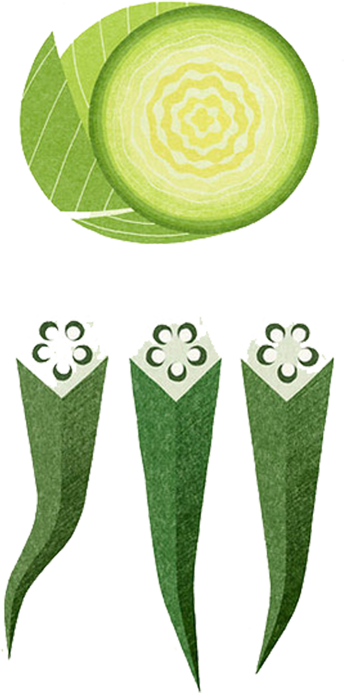 Okra Vegetable Painting Illustration - Illustration (1254x2325)