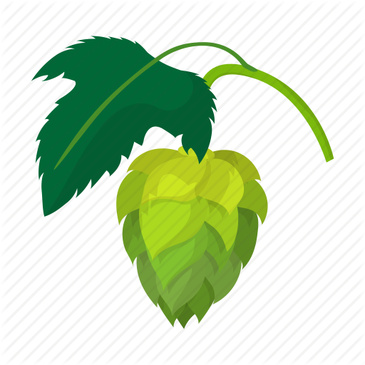 Hop Icons - Hop Beer Png (512x512)