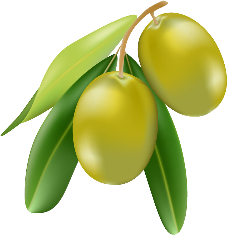 Olive Oil Cartoon Illustration - Olive Images Cartoon (1000x993)