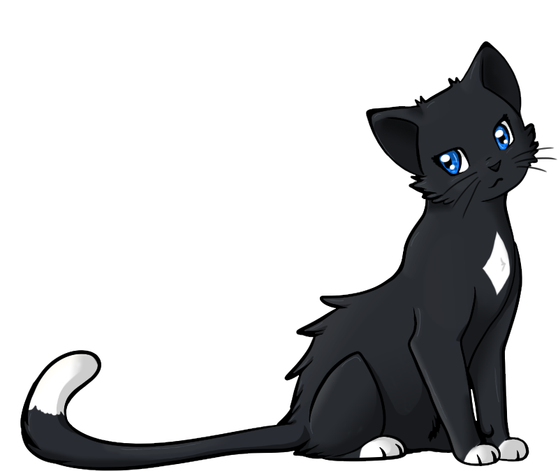Drawn Black Cat Warrior Cat - Black And White Warrior Cats (800x700)