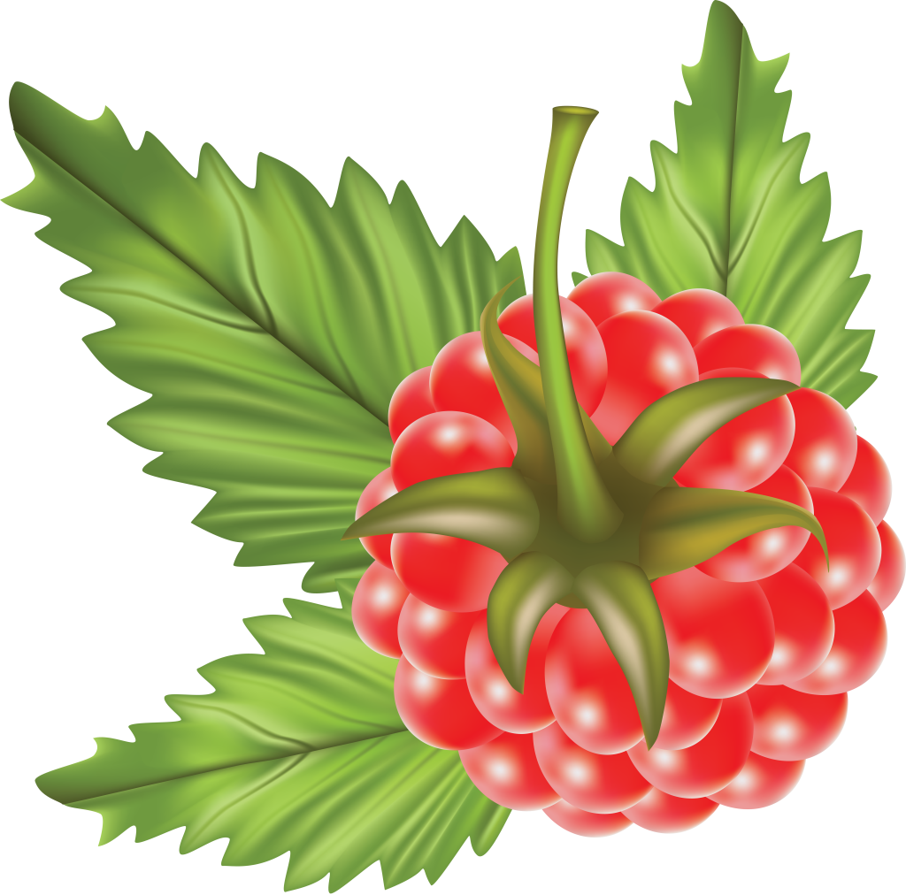 Transparency Raspberry Png Image - Vector (3504x3458)