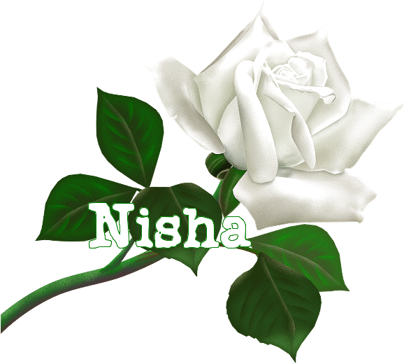 Thank You For Add Me (577x550)